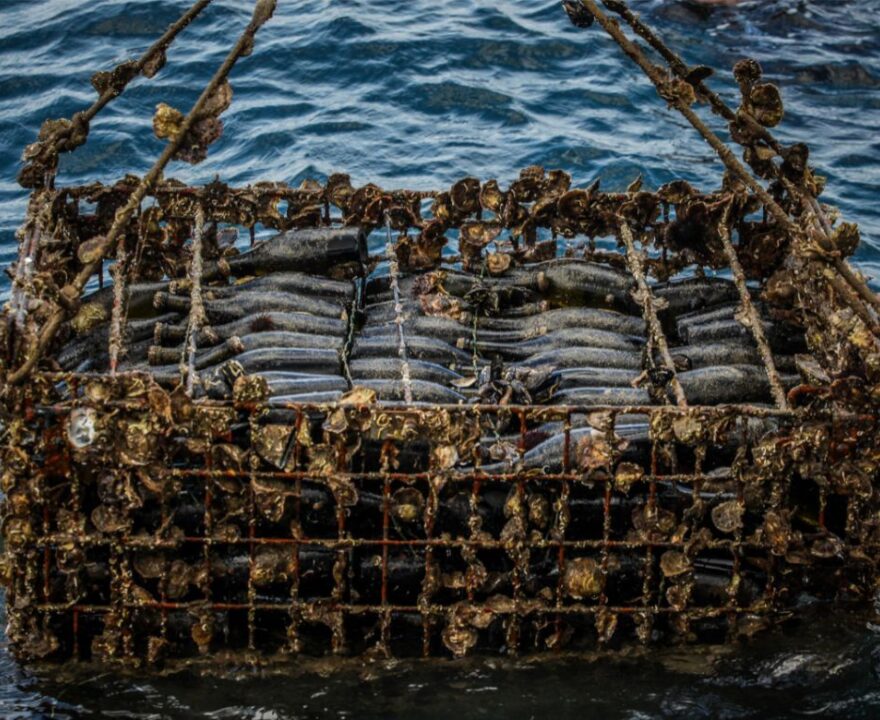 Celler mar de vins submarino alguer