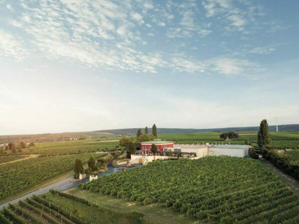 Kirnbauer winery