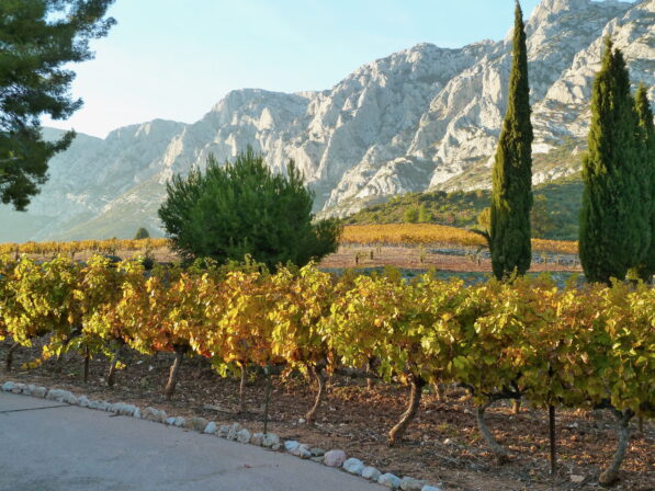 Languedoc vignobles