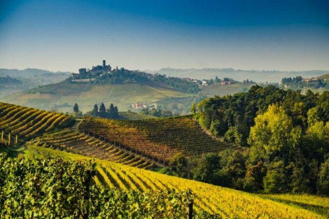 Marolo langhe vineyards