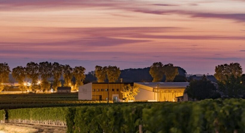 Ronan by clinet chateau 2