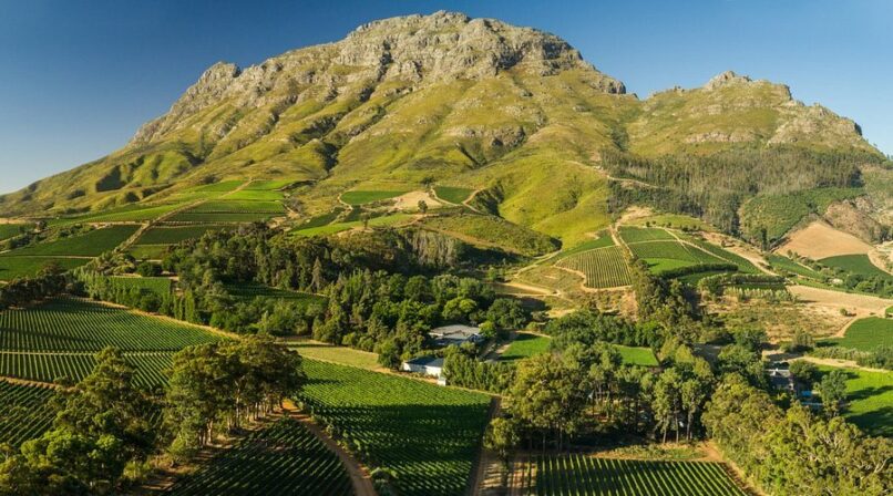 Thelema mountain vineyard