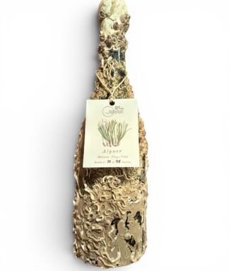 Mar de vins alguer submarino 2
