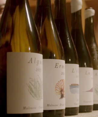 Mar de vins collectie
