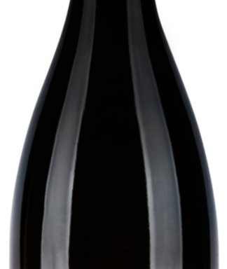 Schlossgut ebringen sauvignon blanc klämle