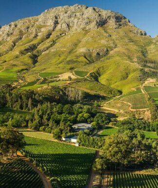 Thelema mountain vineyard